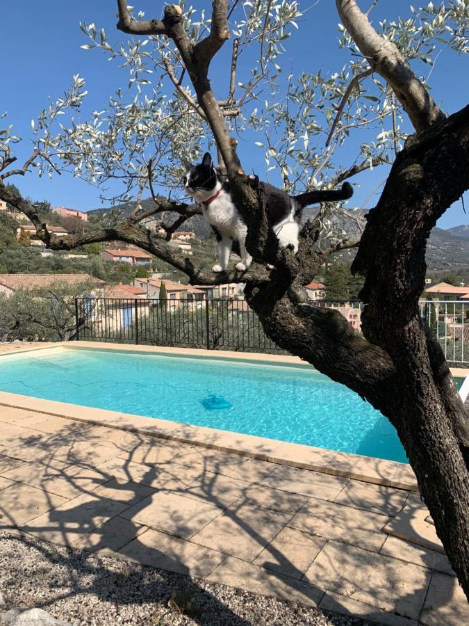 Le Mas Christiane Buis-les-Baronnies Exteriör bild